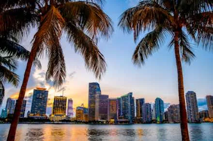 teacher Miami discounts
